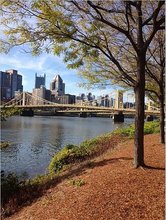 Alz Walk   nature