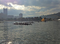 Rowers and Duck views