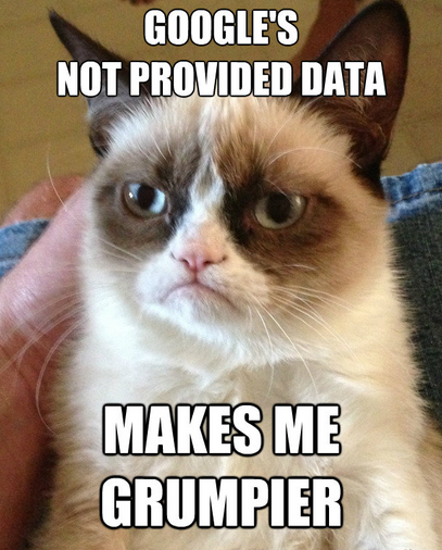 Google Not Provided Grumpy Cat