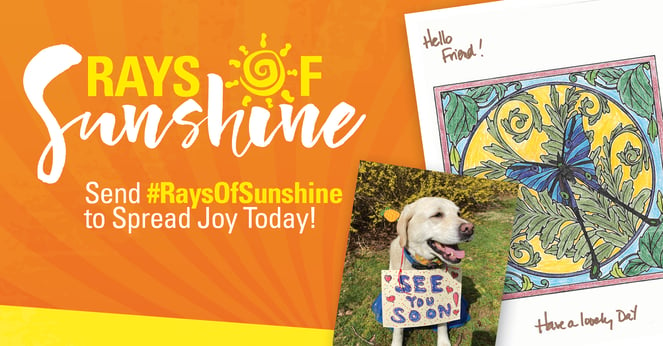 Ray_of_Sunshine_FB_NewArtwork